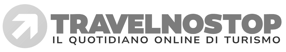 Logo Travel No Stop